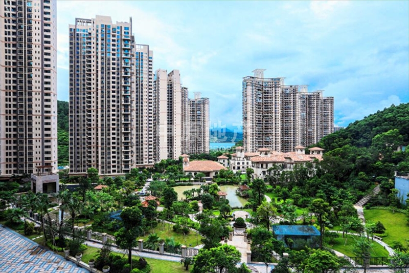 淘金山湖景花园信息_淘金山湖景花园价格-深圳中原